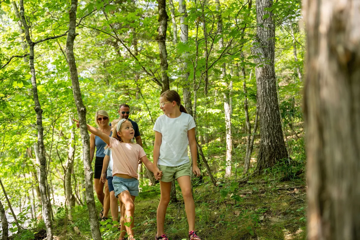 A group of children walk ahead on a nature trail, surrounded by lush greenery, while adults follow in the background. The atmosphere is vibrant and adventurous, capturing the joy of exploring the outdoors as a family.